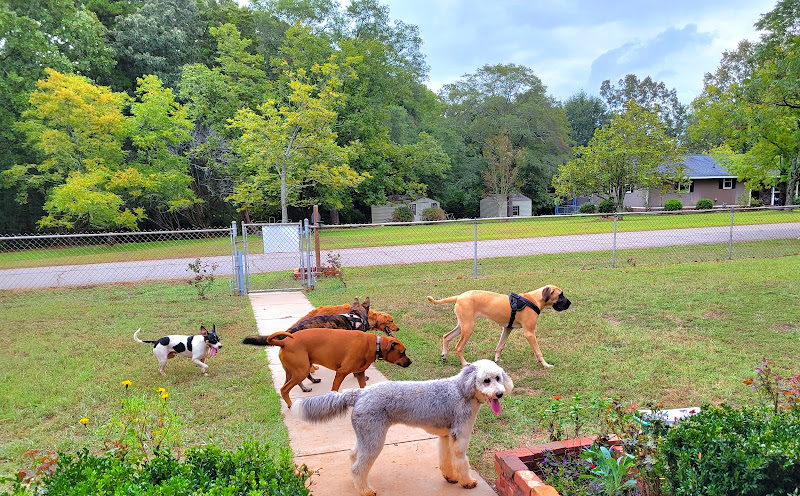 Hartwell Pet Daycare LLC