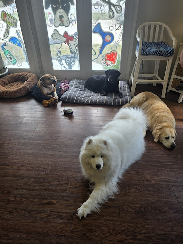 Hazel Anne’s Grooming Resort