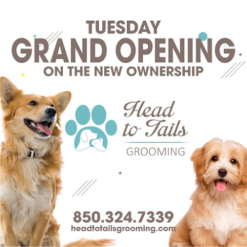 Head to Tails Grooming