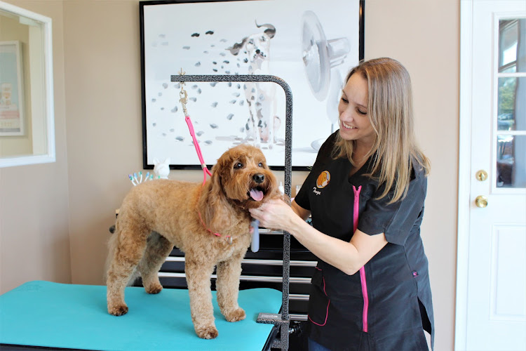 Healthy Hound Playground & Grooming