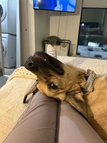 Heather Ridge Pet Hospital