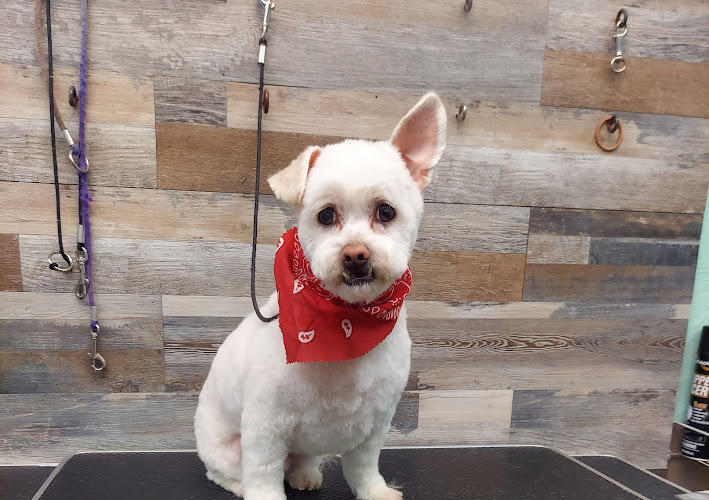 Heaven Scent Grooming