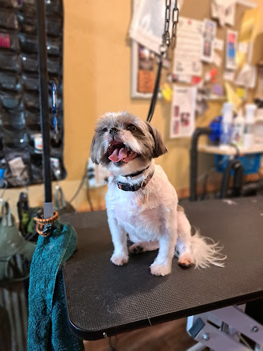 Heavenly Hounds Grooming and Photography