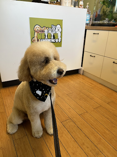 Heidi’s Dog Grooming