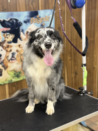 Hidden Creeks Pet Salon