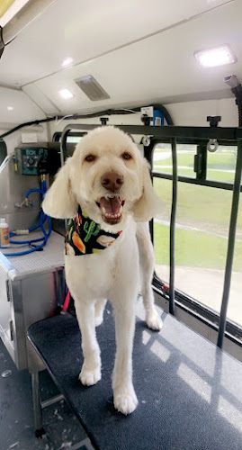 High Tailin’ It Pet Grooming and Daycare