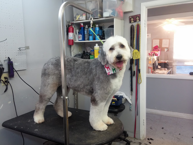 Hillcrest Kennel and Grooming