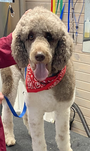 Hillstone Pet Grooming, LLC