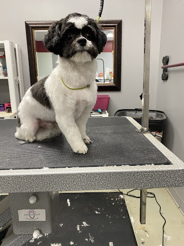 Hometown Pet Grooming