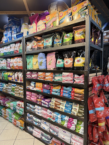 Hook’D On Pets Grooming, Daycare & Retail