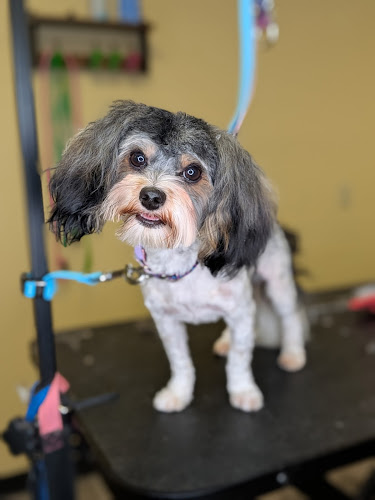 Hopeful Pet Care LLC