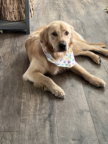 Horning's Pet Groom & Boarding