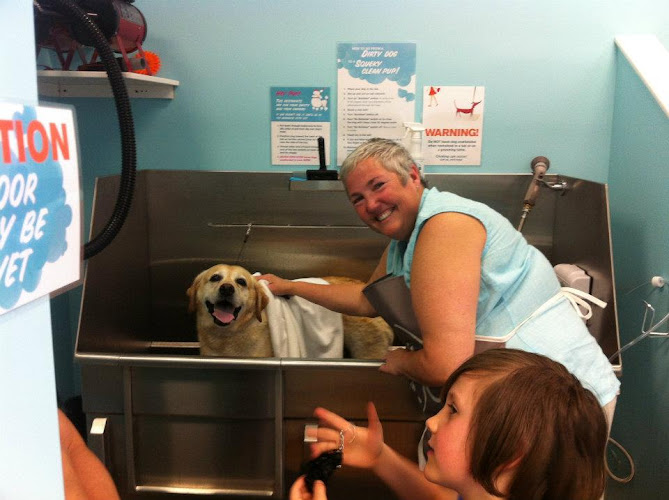 Hot Diggity Dog Wash & Boutique