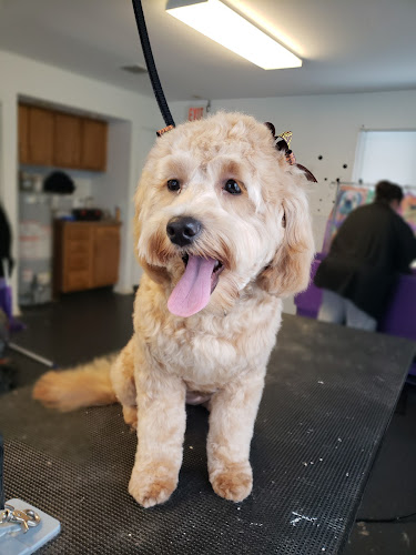 Hot Dog's pet Salon, LLC