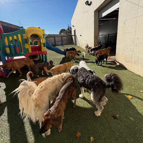 Hounds Lounge Pet Resort and Spa - North Little Rock