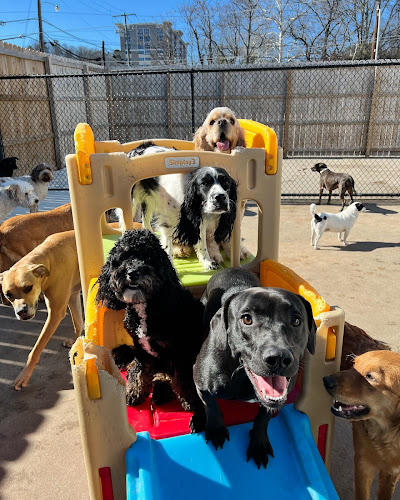 Hounds Lounge Pet Resort and Spa - Riverdale