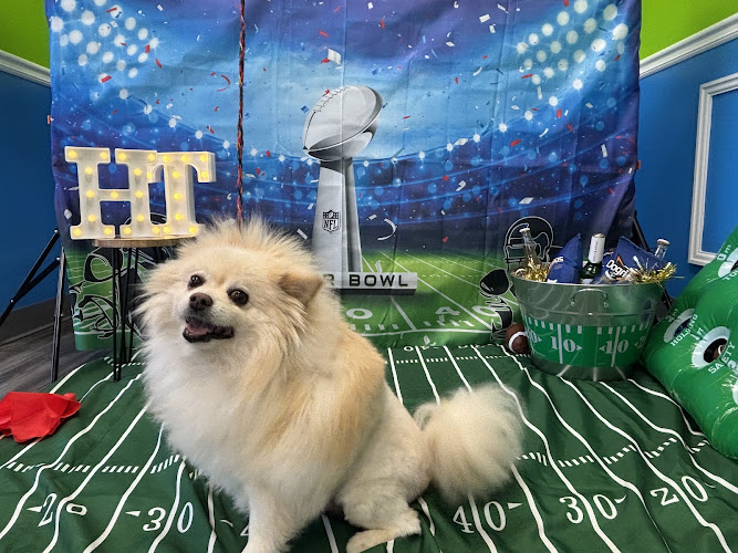 Hounds Town - Atlanta - Smyrna