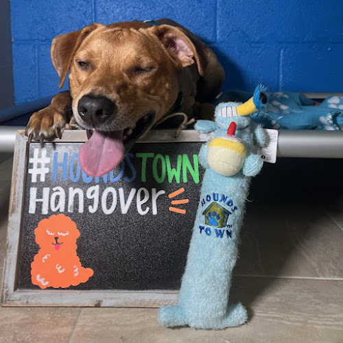 Hounds Town Charlotte - NoDa