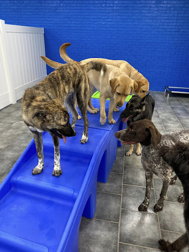 Hounds Town - Greensboro