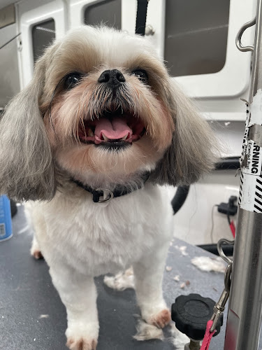 House and Hound, Inc.