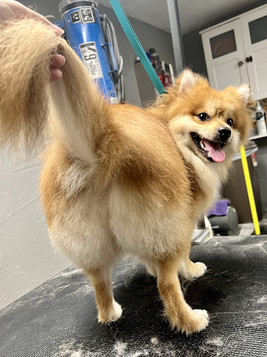 House of Hounds Grooming