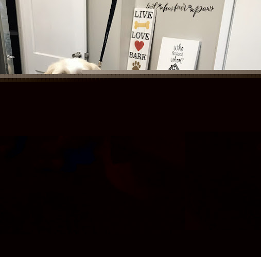 House Of Paws Grooming Salon