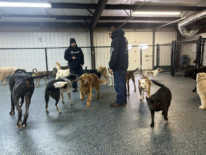 Howliday Inn Pet Resort