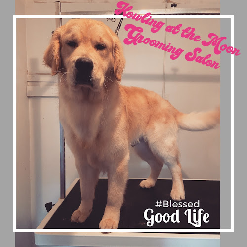 Howling at the moon grooming salon