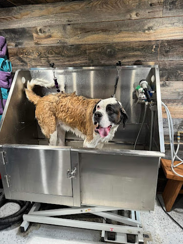 Huckleberry Hound Spa