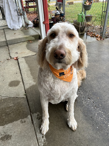 Hushpuppy’s Pet Salon