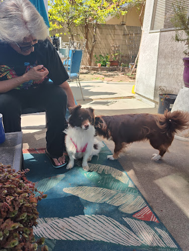 Ice on the Remi Grooming