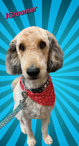 iGroomer Pet Salon & Spa