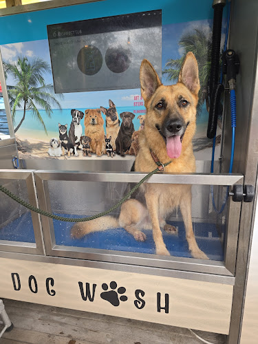 Island Dog Self Service Dog Wash
