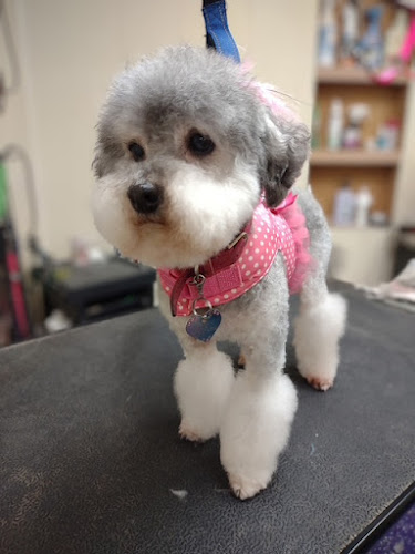 It's a R-R-Ruff Life