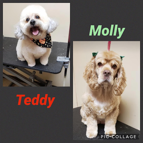 Its All About Me Grooming Spa