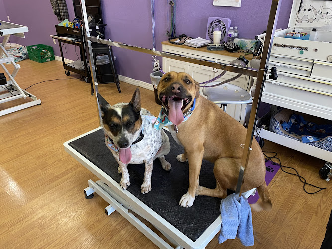 J.E.M's Bright Star Grooming LLC