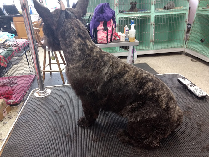 JA-Pens Grooming Salon