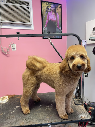 Jabre Kutie Kutz LLC