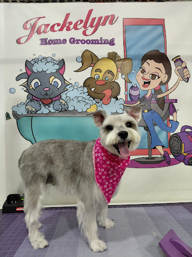 Jackelyn Home Grooming LLC