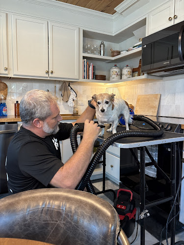 Jamie's Dog Grooming - Dog Grooming St Pete