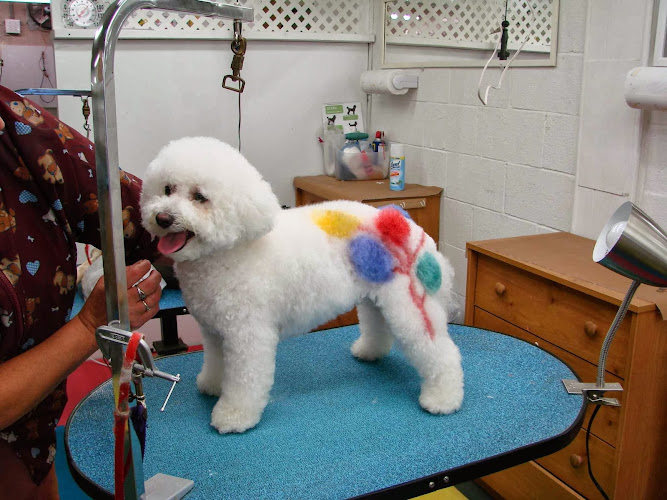 Jan's Grooming & School LLC