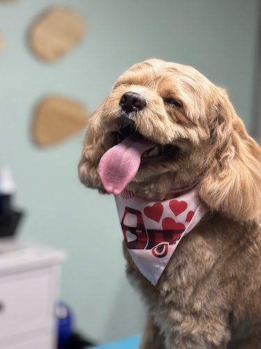 Janelle’s Grooming Studio & DogHawz Treats