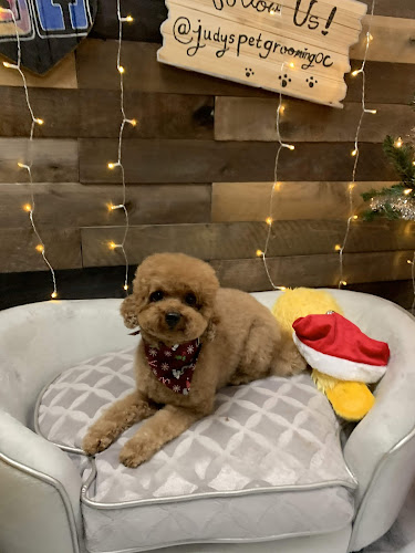 Jasmine Pet Grooming