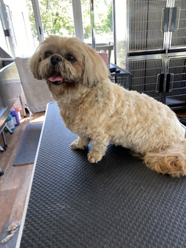 Jay’s Moondoggie Spa