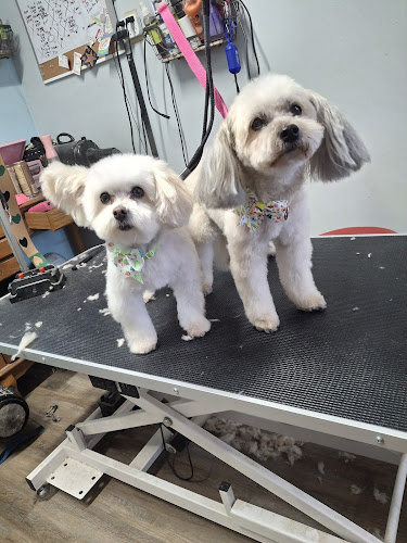 Jazmins Grooms and Designs