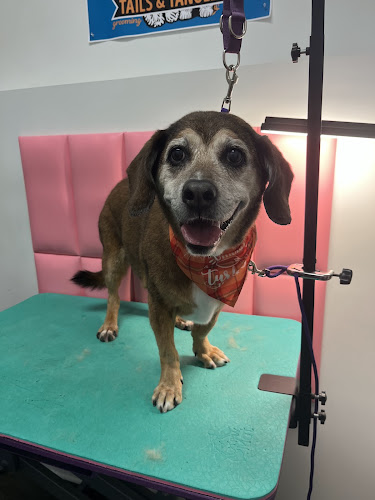 Jazzy Pawz Pet Care Suites