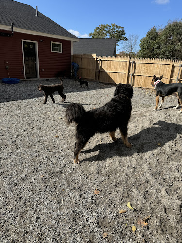 Jillian’s Professional Pet Grooming