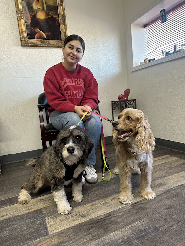 Julian's Pet Grooming