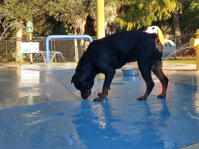 Julington Creek Animal Walk