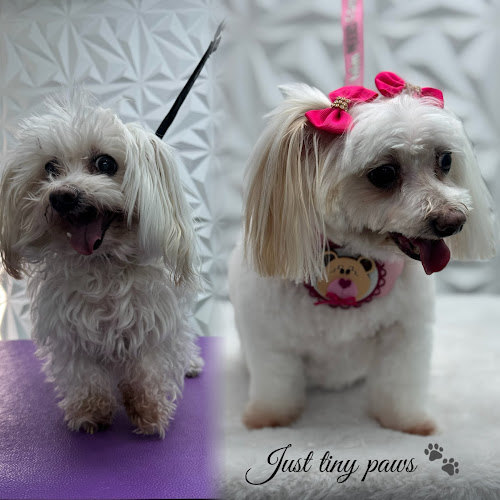 JUST TINY PAWS DOG GROOMING